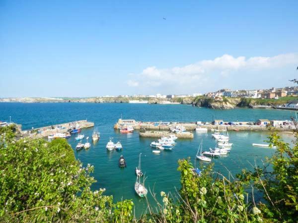 Ferienwohnung Saltwater New Quay Exterior foto